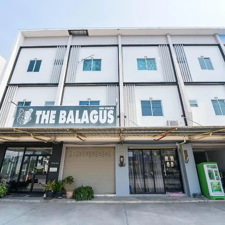 Oyo 497 The Balagus Hotel